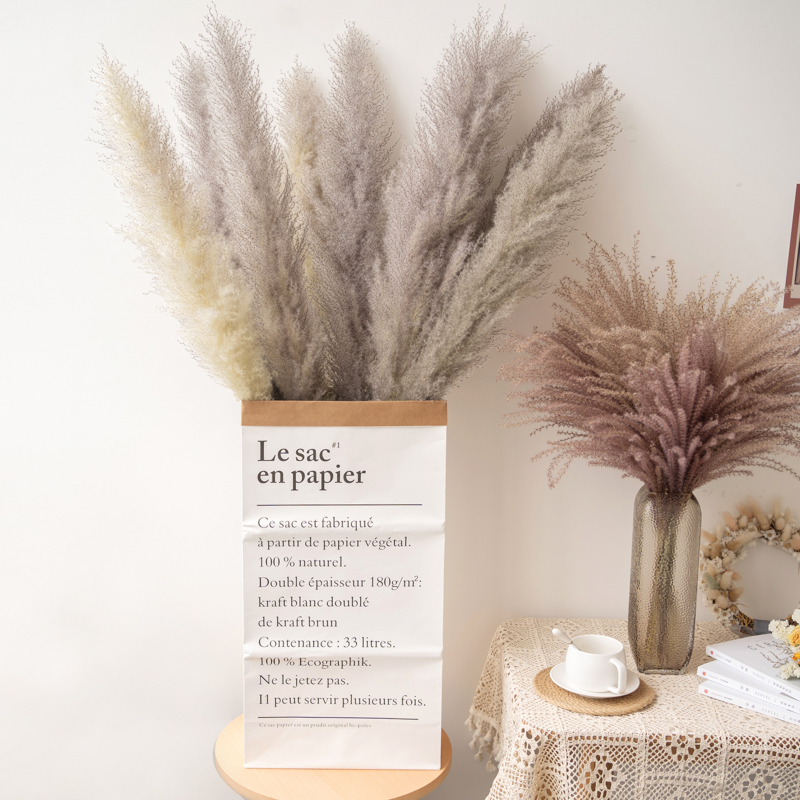 Factory Wholesale Dried Flower Natural Large Pampas Grass Dried for Christmas Flower