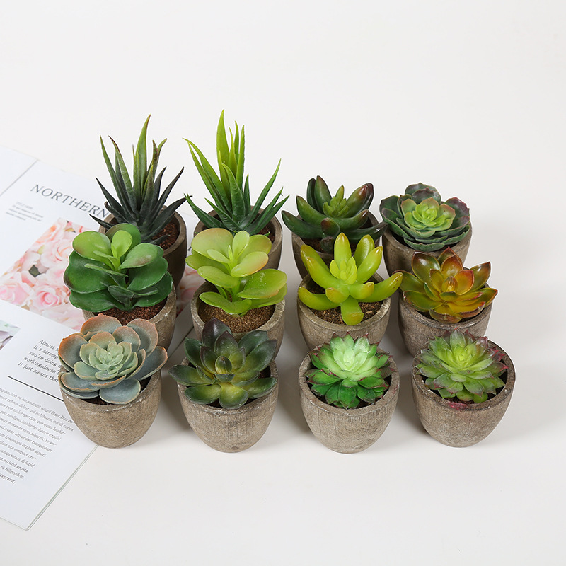 Wholesale Home Decorative Mini Table Planter Ceramic Live Artificial Succulent Potted Green Faux Succulents Plants