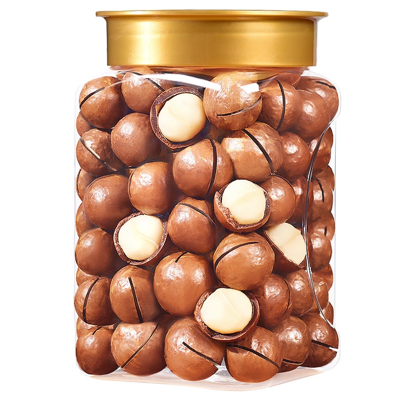 New Arrival Cheap Macadamia Nuts Size 22mm-25mm rich of Nutritious Macadamia Nuts