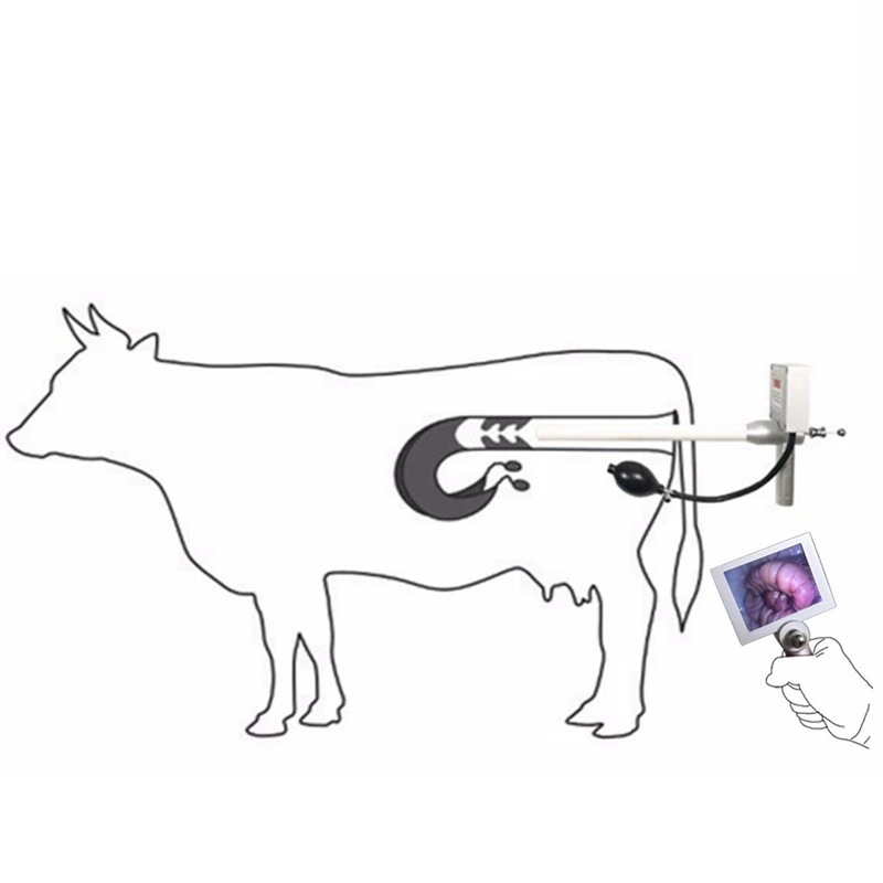 China Suppliers Handheld Artificial Insemination Device Cattle Cow Dog Canine Gun pistola inseminacion