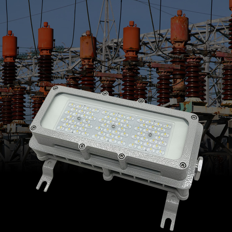 Hot Sale Subway Tunnel Cable Passage Explosion Proof Flood Lamp Ip65 Waterproof 50w Led Explosion-Proof Light