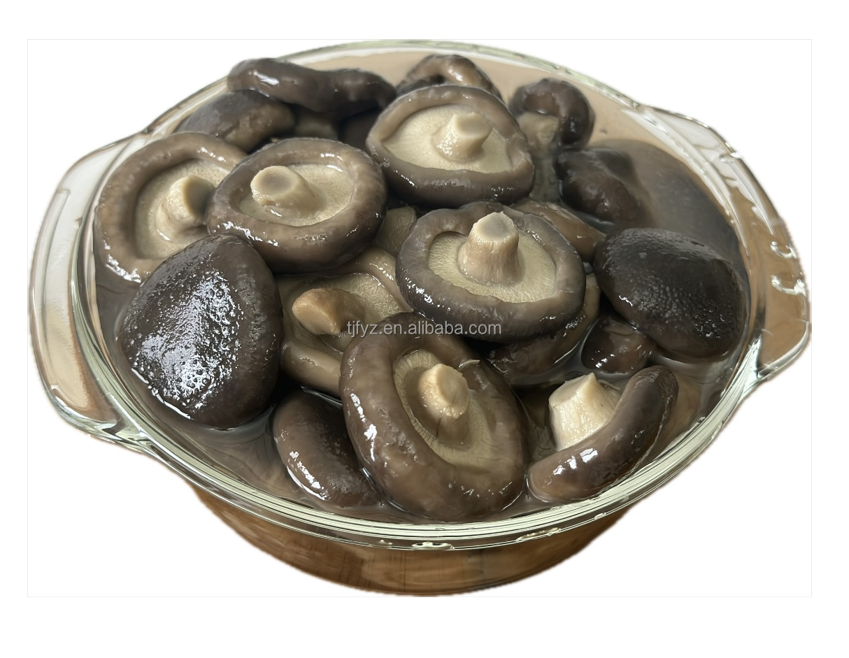 Rare Edible Mushrooms Available In Fresh Canned Or Preserved Steamed Pieces With Salty Flavor Processed In Salt Solution