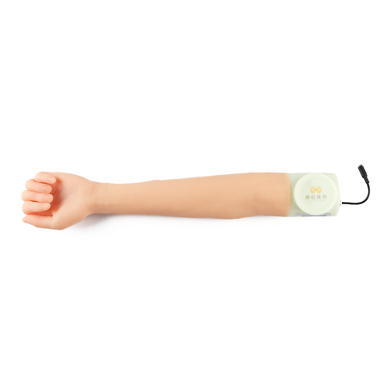 Blood drawing fluids exsanguination surgical training of the arm Anatomic models for human medical teaching and training