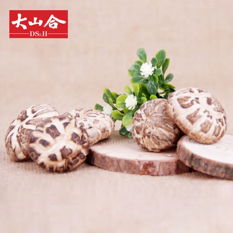 Dried shitake mushroom China white flower mushrooms premium high quality gift box /3kg /5lb /bulk