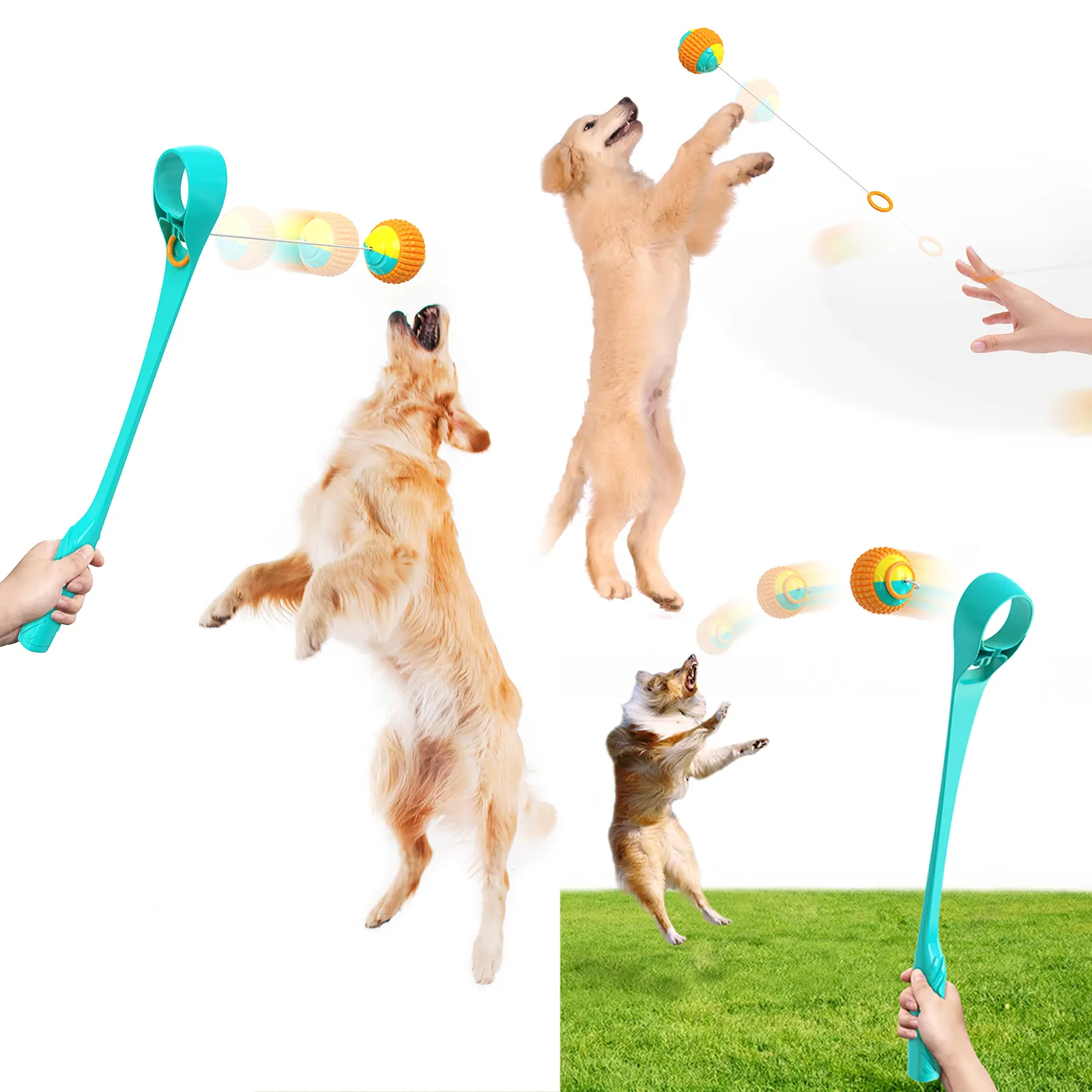 New pet toy multifunctional throwing pole outdoor training dog throwing ball yo yo molars toy ball interactive toy