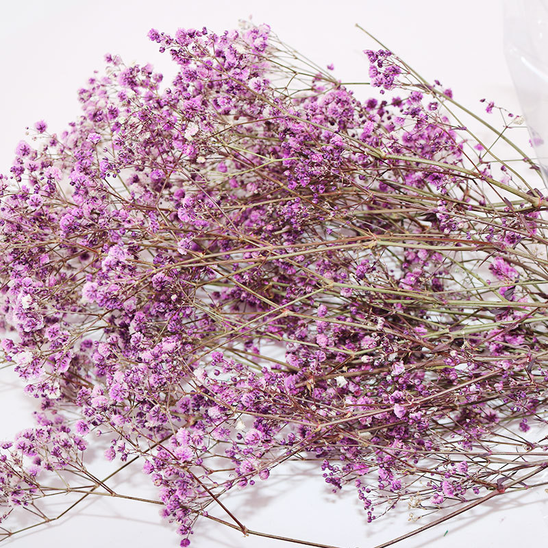 100 г в букете, консервированные цветы Babysbreath, Натуральные сушеные цветы, декор для вечеринки и дома, фиолетовые вечные настоящие цветы, букет