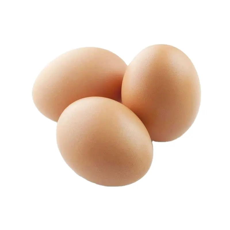 Farm Fresh Chicken Table Eggs Brown and White Fresh Brown White Table Eggs / Fresh Chicken Eggs