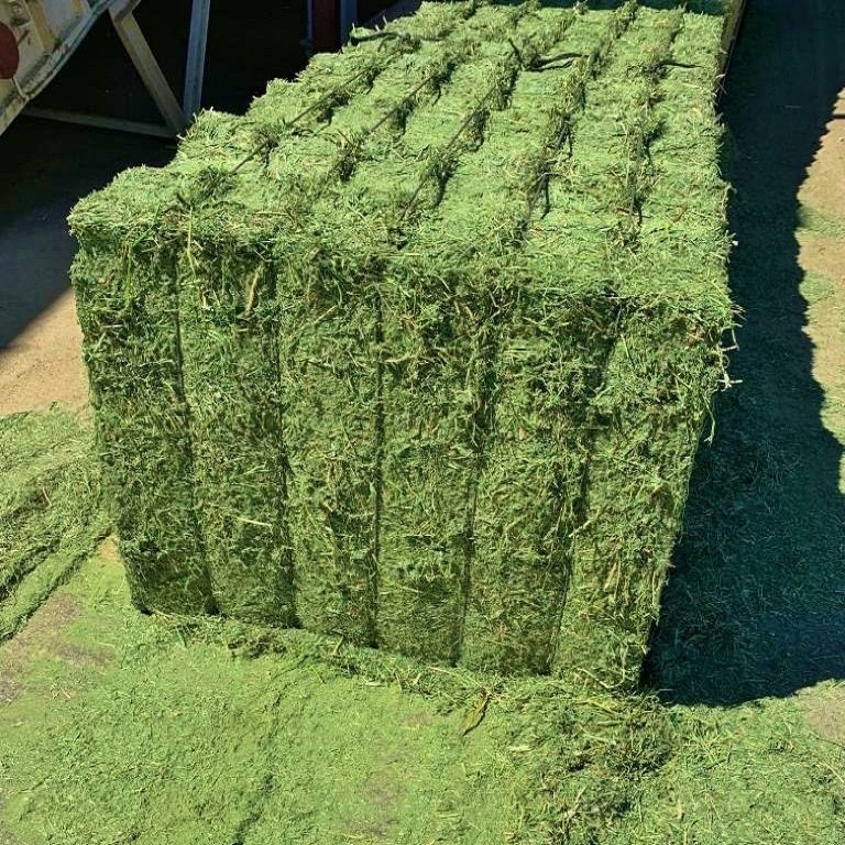 Turkish Alfalfa Hay Bale / Clover Hay