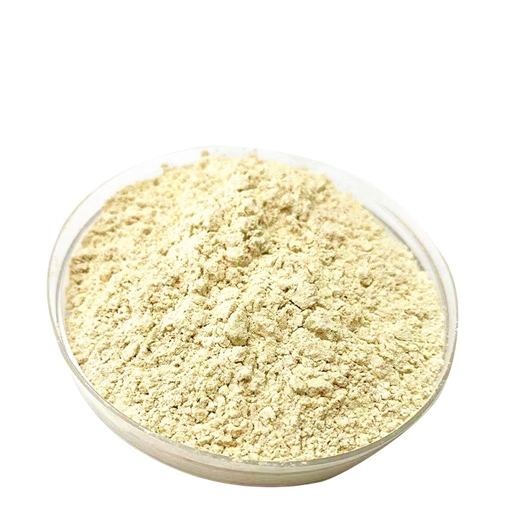 Organic Natto Extract Nattokinase Greater Than Or Equal To 10000FU/G Nattokinase Powder