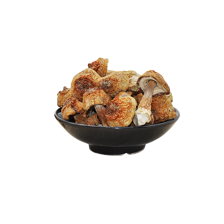 Factory Supply Wholesale Dried Natural Agaricus Blazei Murill Mushroom