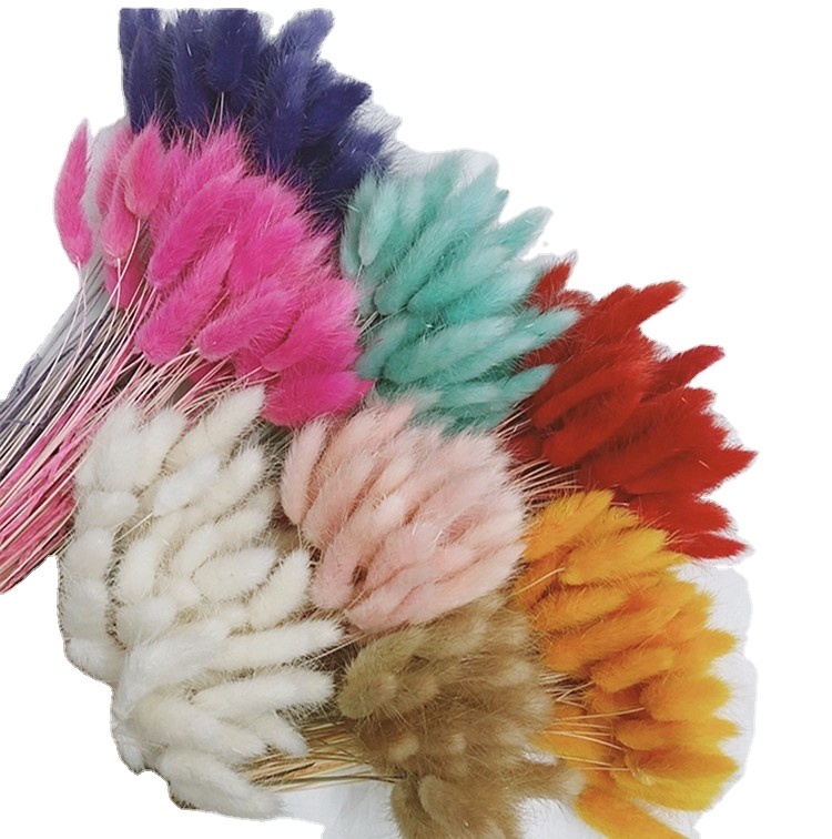 Wholesale 50Pcs/bunch Natural Dried Lagurus Ovatus Rabbit Tails Grass For Home Decoration