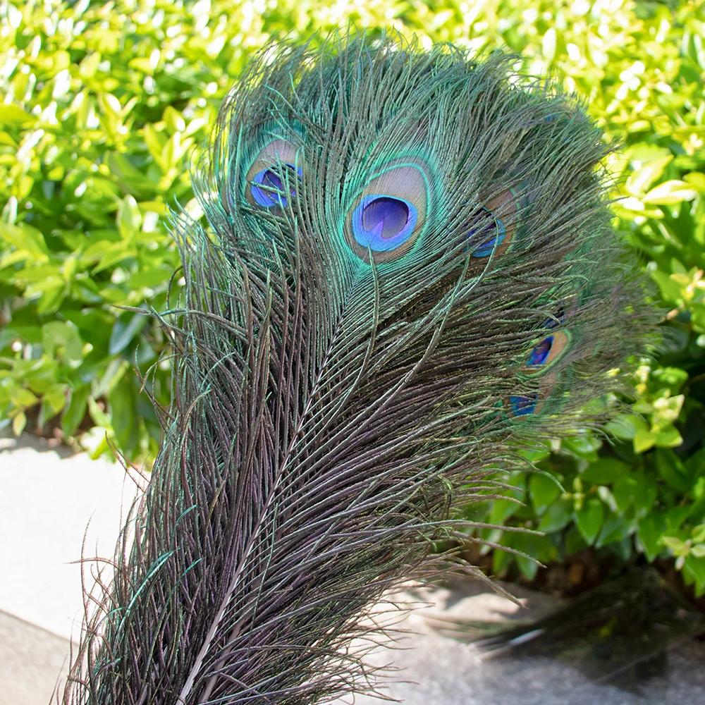 High Quality And Inexpensive Decor Peacock Feathers Real Natural Peacock Feathers Material For Cheap Sale Diy Craft Carnival