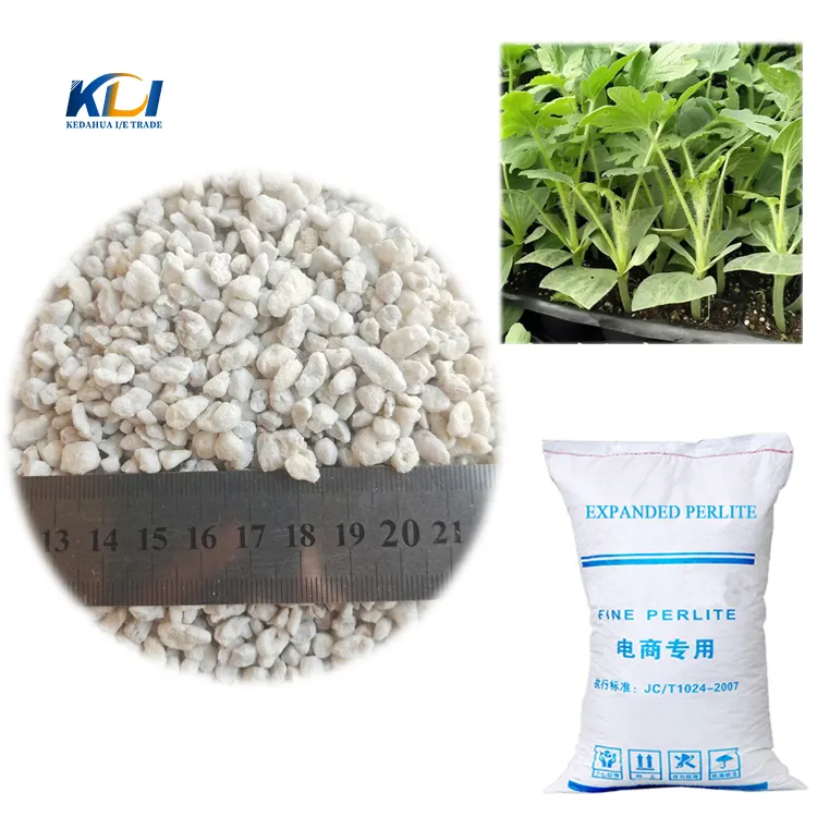 High quality Best Price Hydroponics Horticultural Expanded Perlite