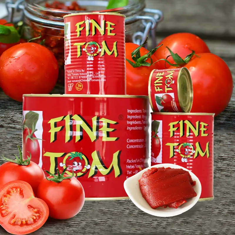 High quality Tin Tomato paste with cheap price in canned tomato sauce for Africa from popular factory paste tomatoes paste
