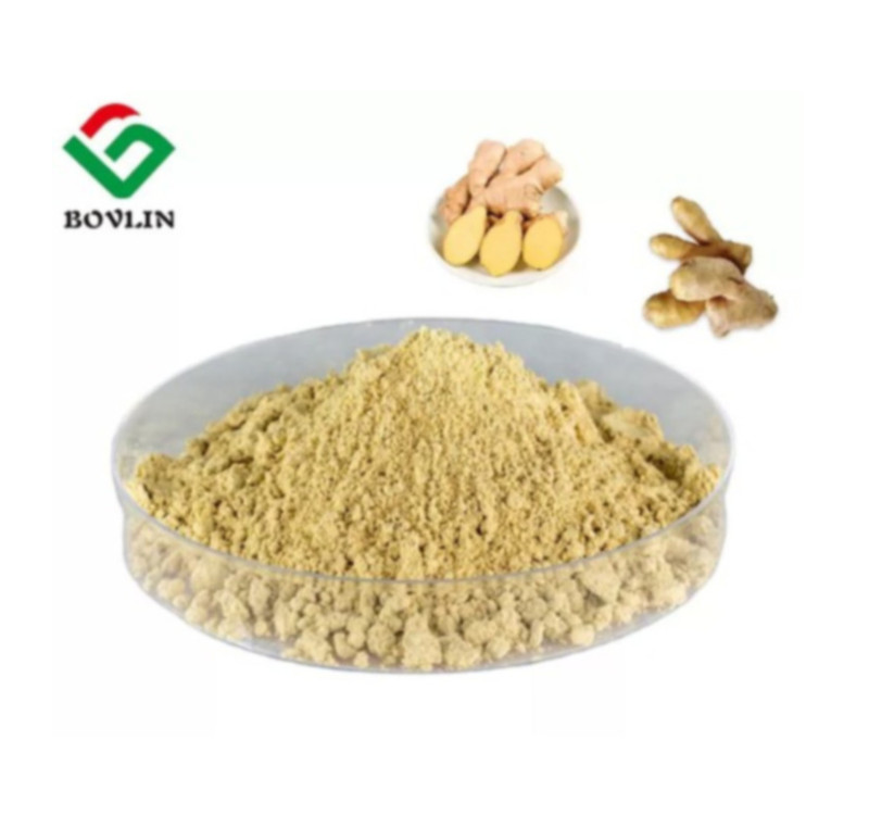 Pure ginger extract 5% Gingerol powder ginger extract