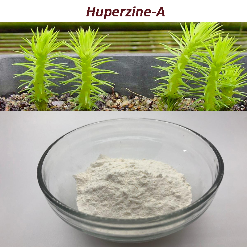Натуральный Экстракт чистый экстракт Huperzia Serrata 1% 5% 98% Huperzine-A CAS 102518-79-6 для лечения сенильного слабоумия