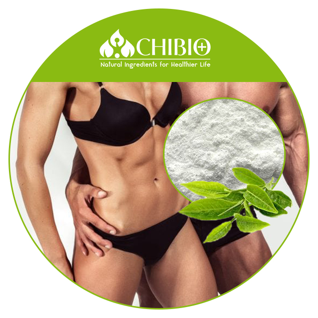 Синтетический натуральный порошок Kucha Tea Theacrine 60% от производителя