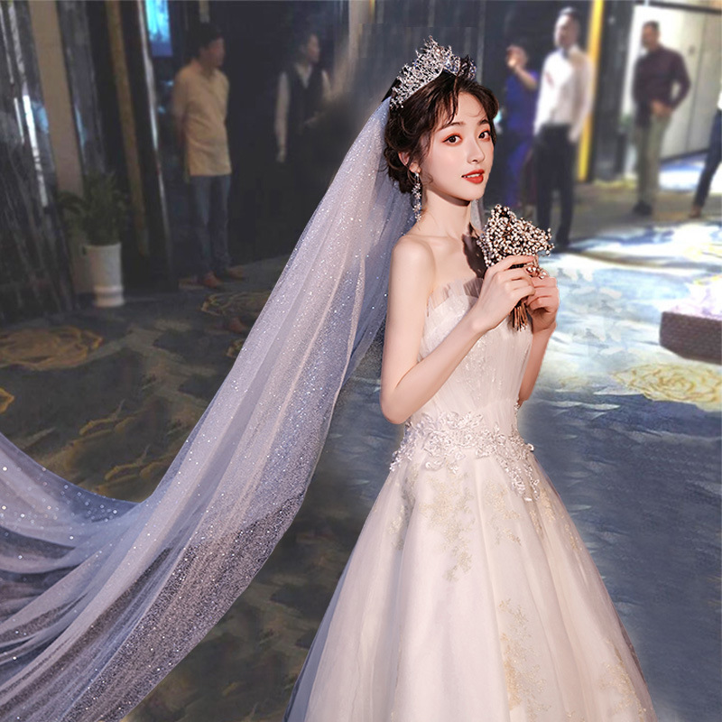 New champagne and white fine glitter shiny veil fluffy bridal veil