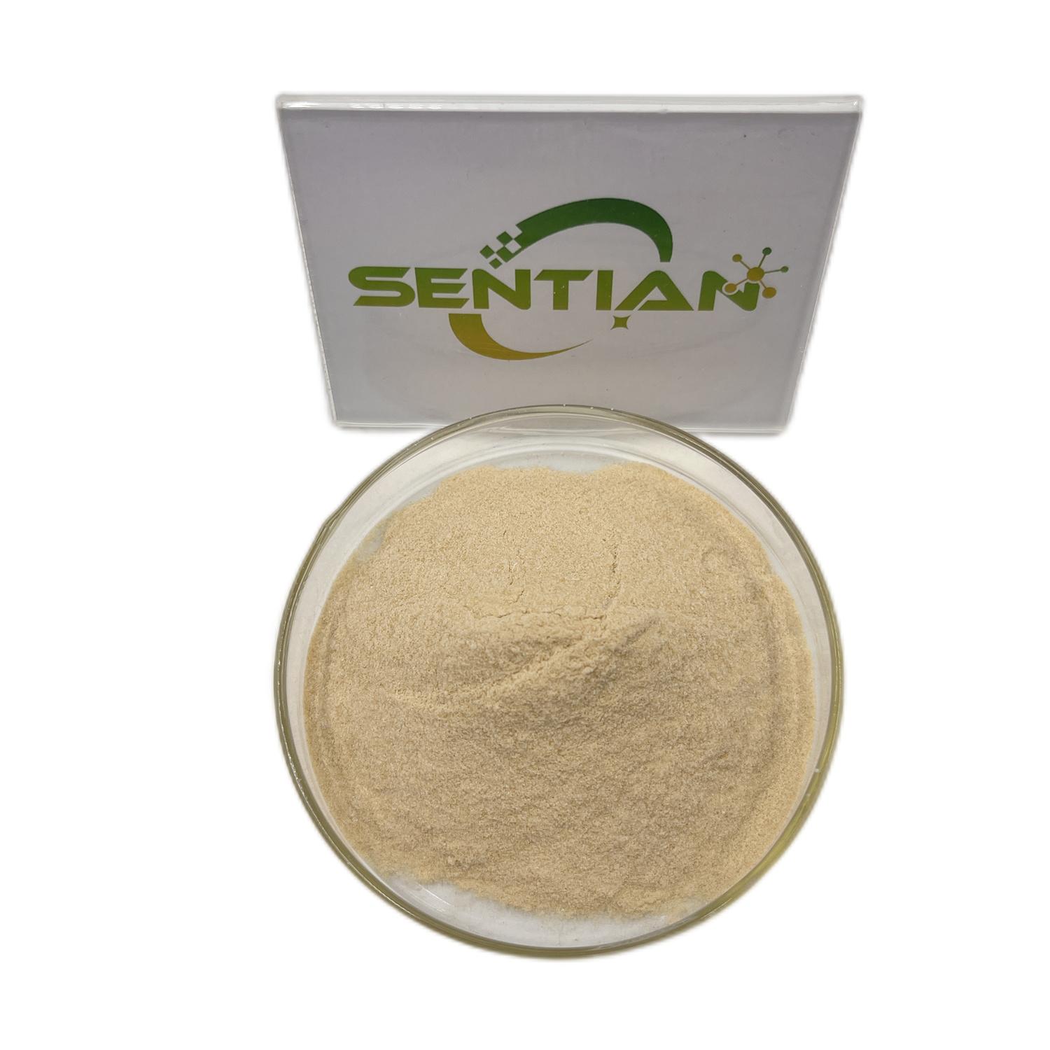 Оптовая продажа, пробиотический порошок Bacillus Coagulans