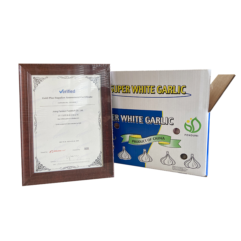 Low Price Fresh Garlic Bag Packing Newest Crop Style Time 2023 Weight Normal Net Origin Type Shandong