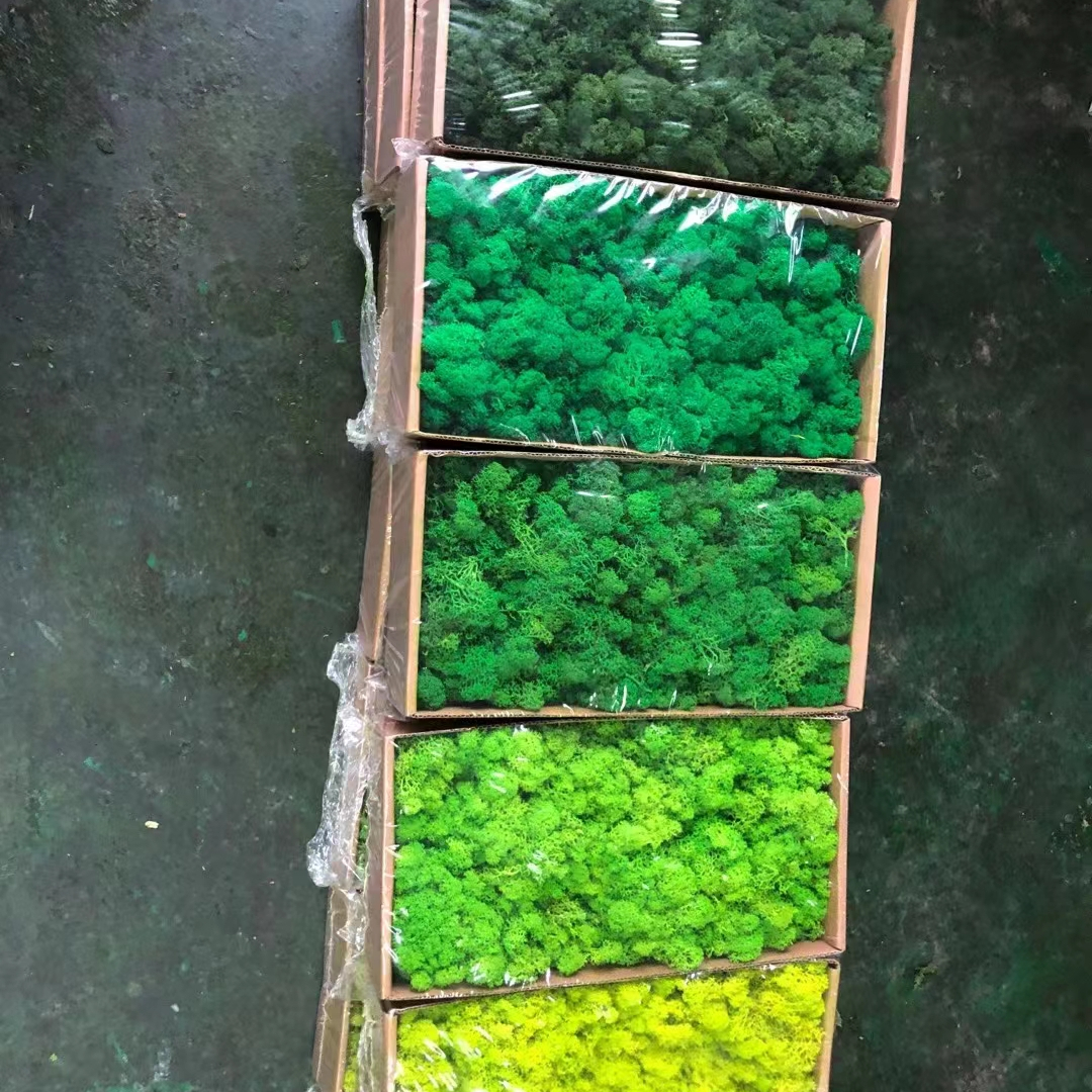 Green мох декоративные консервированные Искусственные Стены подбирается по заказу консервированные стены