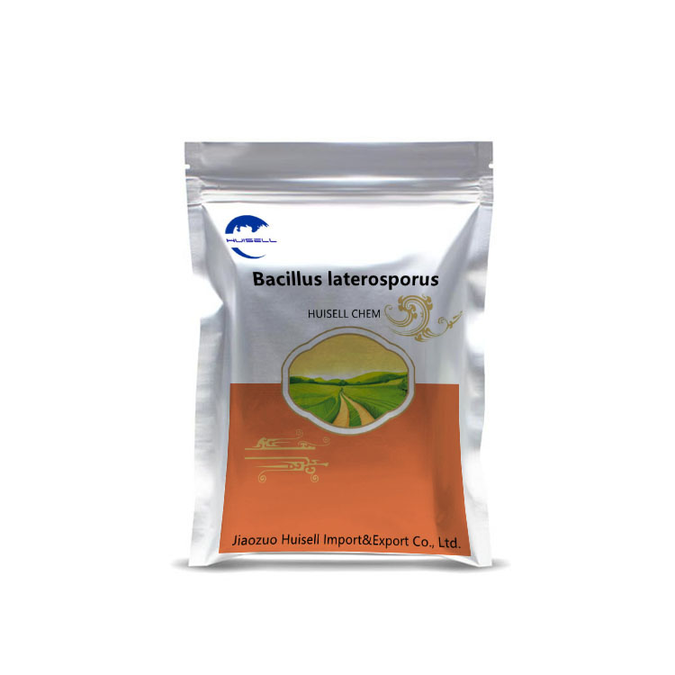 Feed Grade Agricultural Grade Powder Bacillus Laterosporus