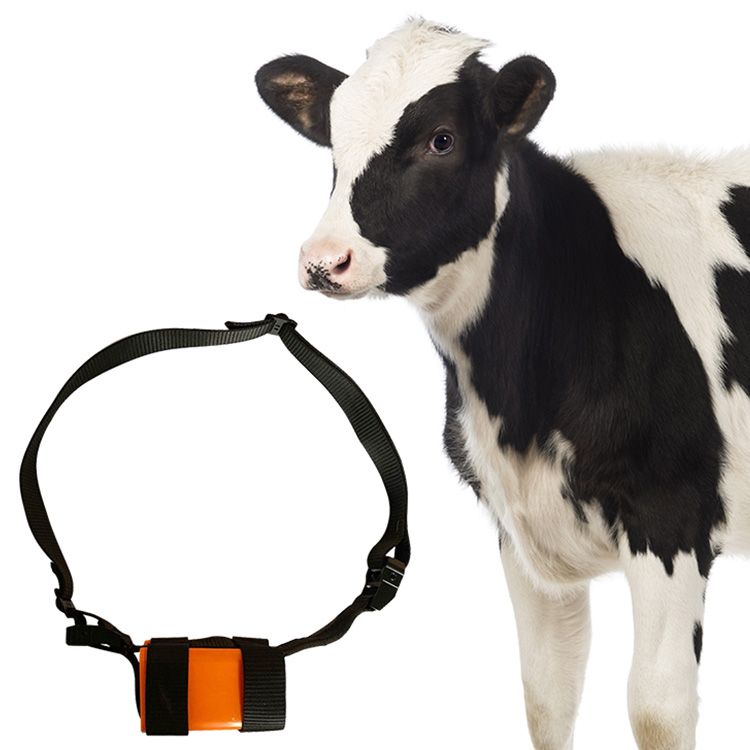 Top Quality 2G 3G 4G Offline Big Animal Gps Trakcers For Tracking