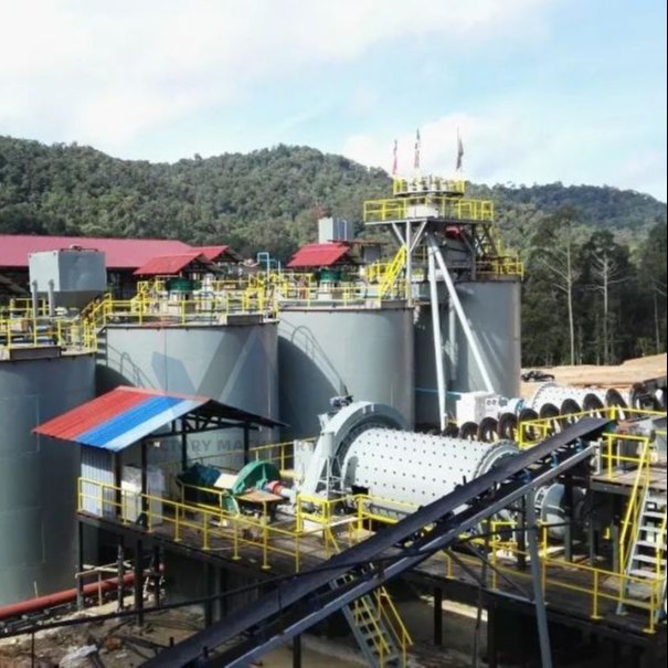 Good Performance Mineral Processing Equipment Gold Heap Leaching Machine line with Reasonable Price