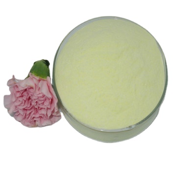 Factory Supply High Quality 10236-47-2 Natural Naringin 98% Natural Plant Extract Naringin Powder for sweetening agent