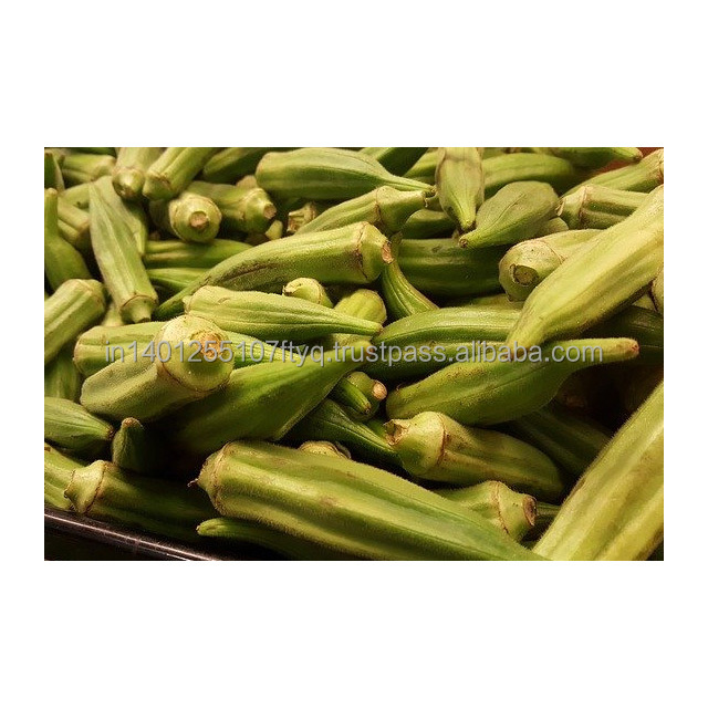 IQF Okra bхинди женские пальчиковые резные кольца вырезанные лучшее качество Хорошая цена замороженный продукт кубическая упаковка