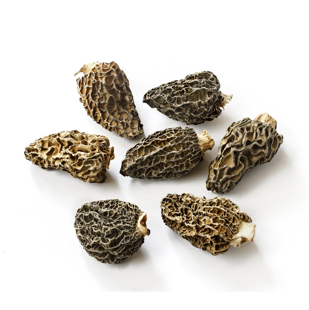 Brown and black fruit body dried morels cultivated wild mushrooms dried black morels mushrooms for sale