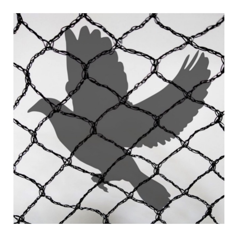 Agricultural anti bird net protection pe bird nets for chicken fencing free range chicken plastic net fence
