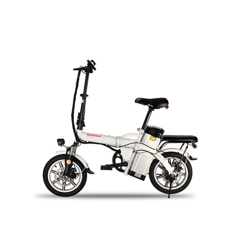 48v 20ah 500 watt fat tire 2 seats 2 person lcd dislpay metter motor ebike electric motorcycle