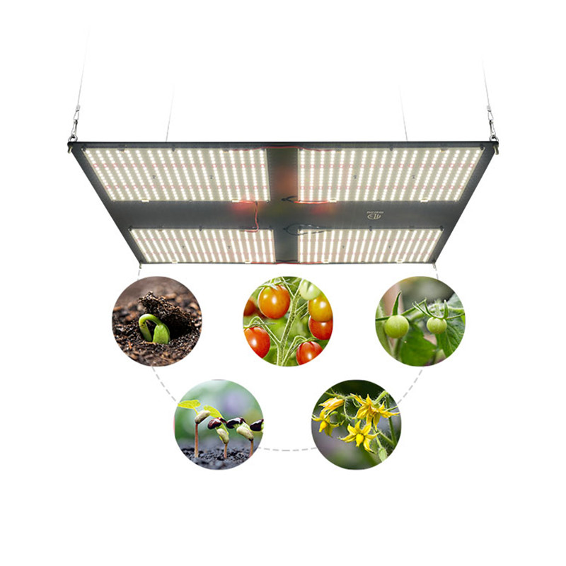 Meijiu 480 Вт полный спектр досок 4x4 Led-лампа для сельского хозяйства, хит продаж дальняя красная 660nm Samsung 301B V2 LED полный комплект лампы для растений