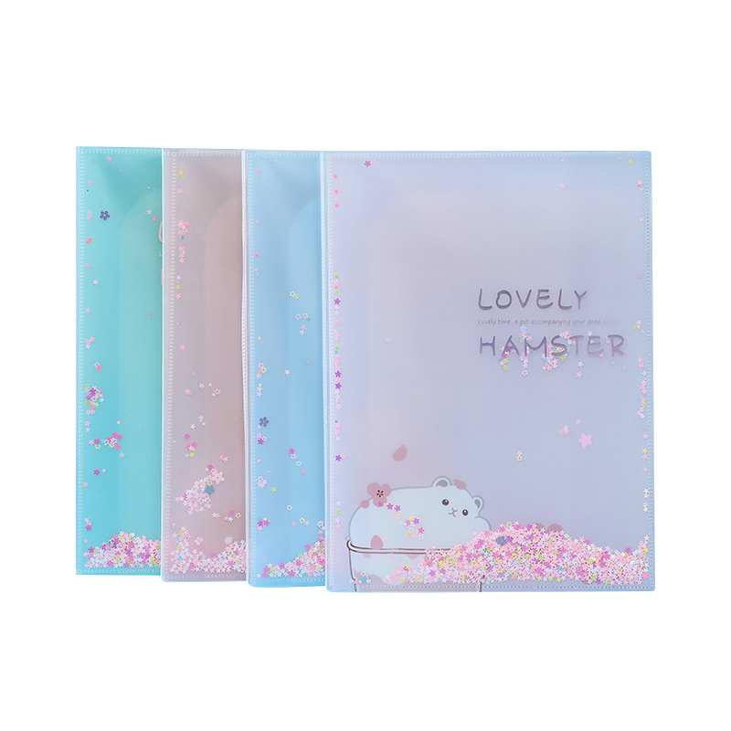 Transparent Resource Booklet A4 cartoon sequins quicksand paper folder student information storage into the pocketr custom
