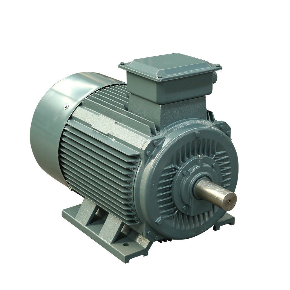 Low Voltage Electrical IEC standard asynchronous AC three phase induction motor