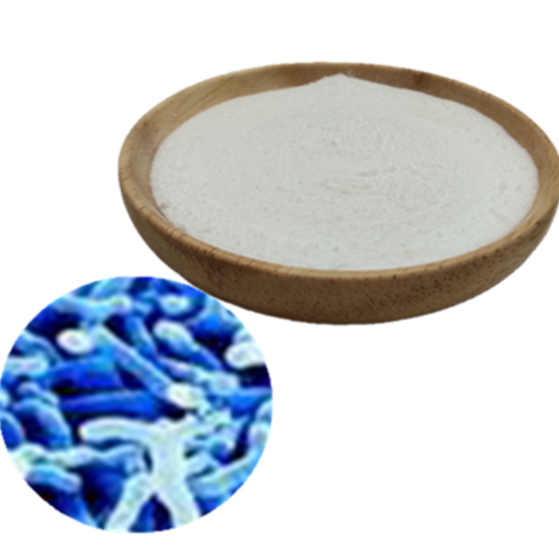 Bulk supply freeze-dried probiotics bifidobacterium longum susp.longum