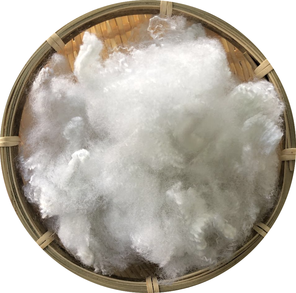 Polypropylene Staple Fiber for Nowoven make