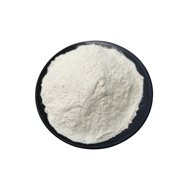 High Quality Bulk Natural Whey Protein Powder For Workout