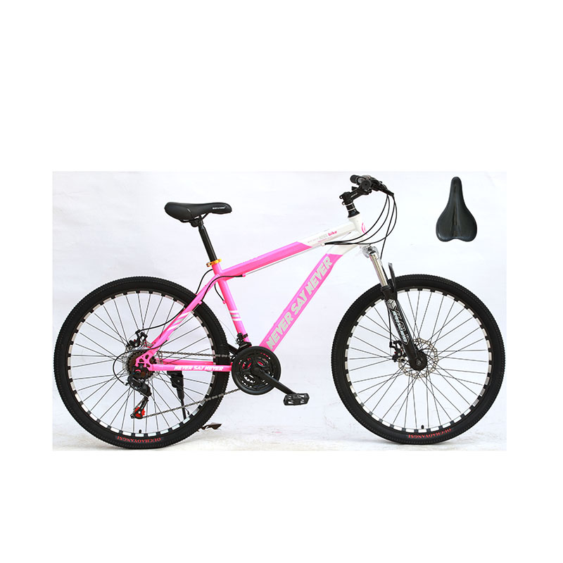 New arrived cheap price mountain bike made in China/Wholesale e bike mountain bicycle for sale