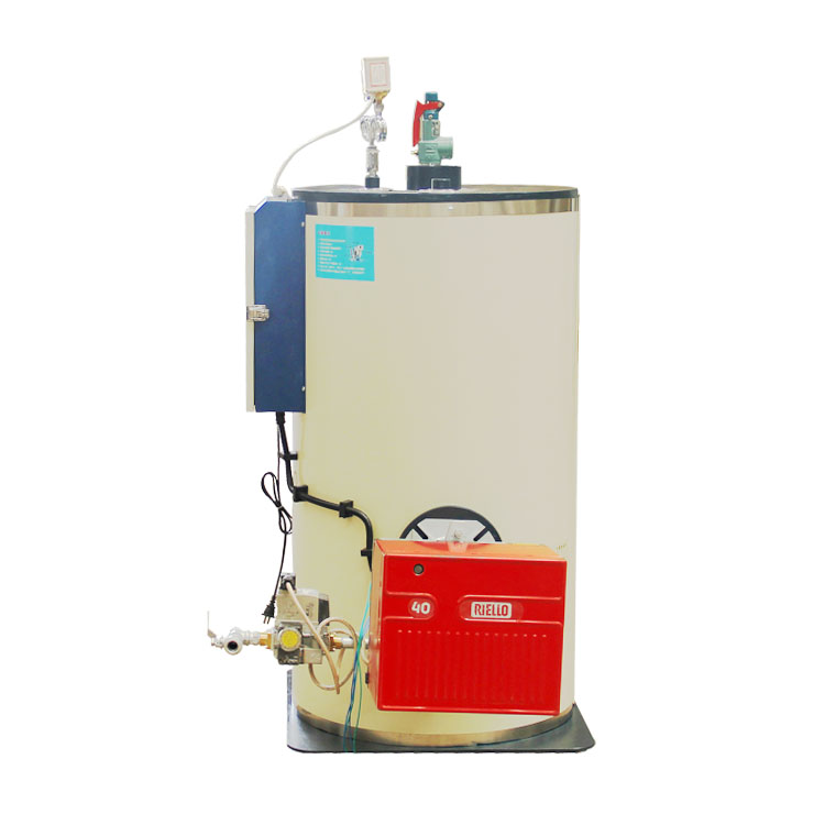 Yuji LSS Garment Industry Easy Operation Diesel Oil Gas Fired Steam Generator