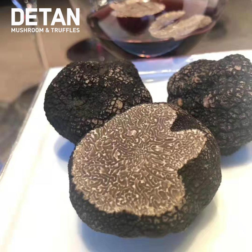 Индийский черный зимний трюфель Detan Forest Perigord