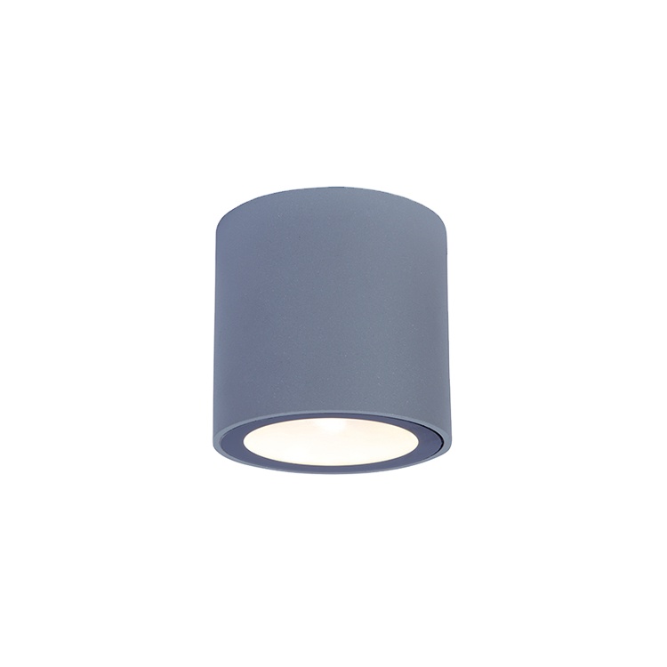 Aluminium 10w ceiling mounted light ip65 surface mounted ceiling light fixtures ceiling mount