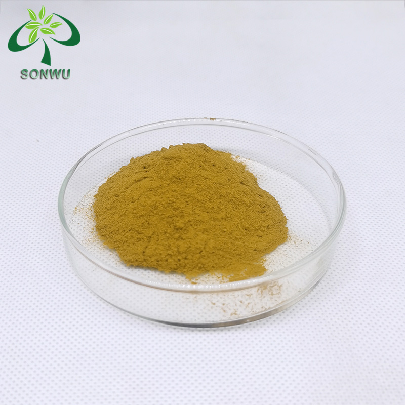Sonwu supply 50% hericium erinaceus polysaccharide bulk hericium erinaceus extract