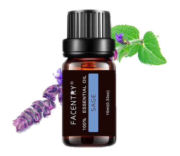 Aromatherapy Essential Oil Outfits 10ml Sage Humidifier Aromatherapy Massage Bath Oil for massage Relieve Stress