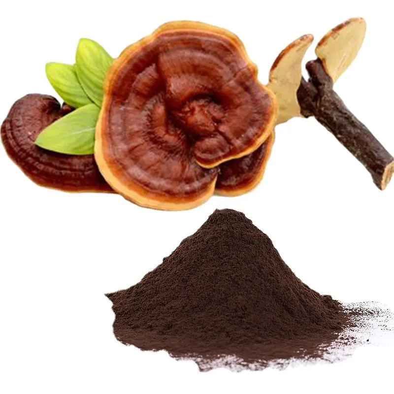 Organic Ganoderma Lucidum Reishi Lion's Mane Chaga Cordyceps Turkey Tail Shiitake Mushroom Extract Powder