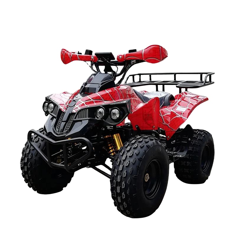 2021 нового типа для взрослых по бездорожью мини грязи 4wd Quad 500w 800w1000w1500w 2000 Вт постоянного тока для взрослых ATV 36V48v60v ЕЭК