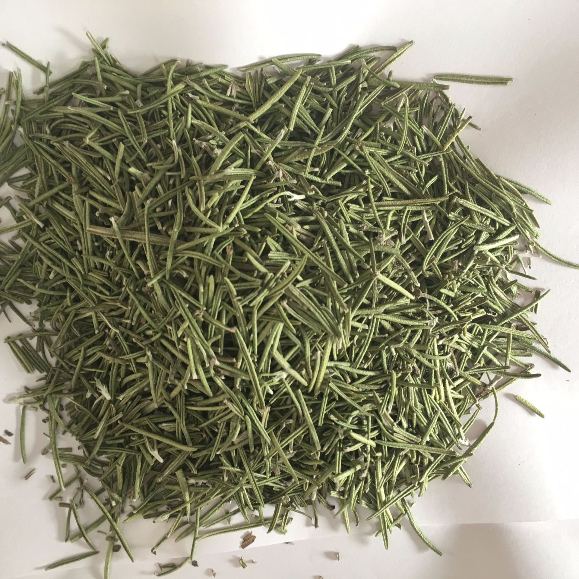 2021 Wholesale Natural Rosemary Herbs Organic Rosemary Tea Dried Rosemary Leaves