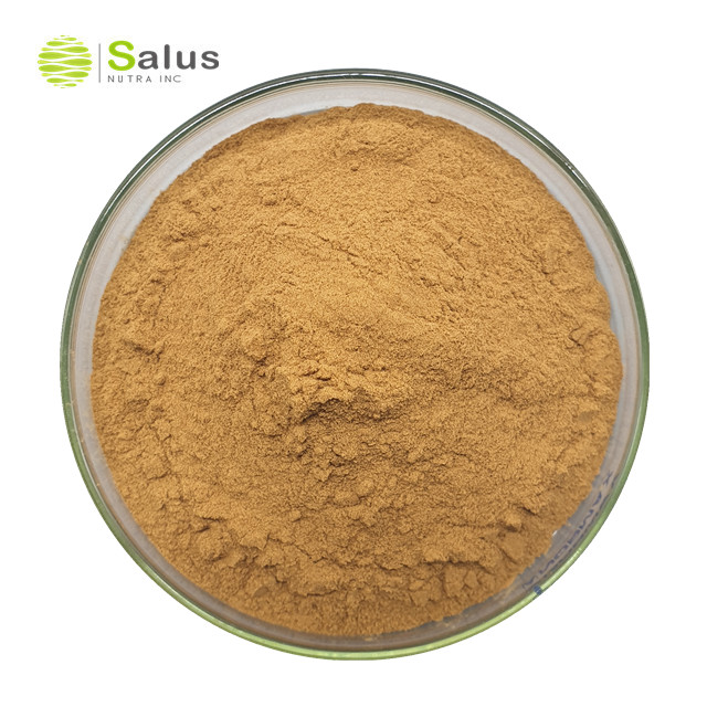 Поставка полисахарида Salus, 30% экстракт Черного гриба