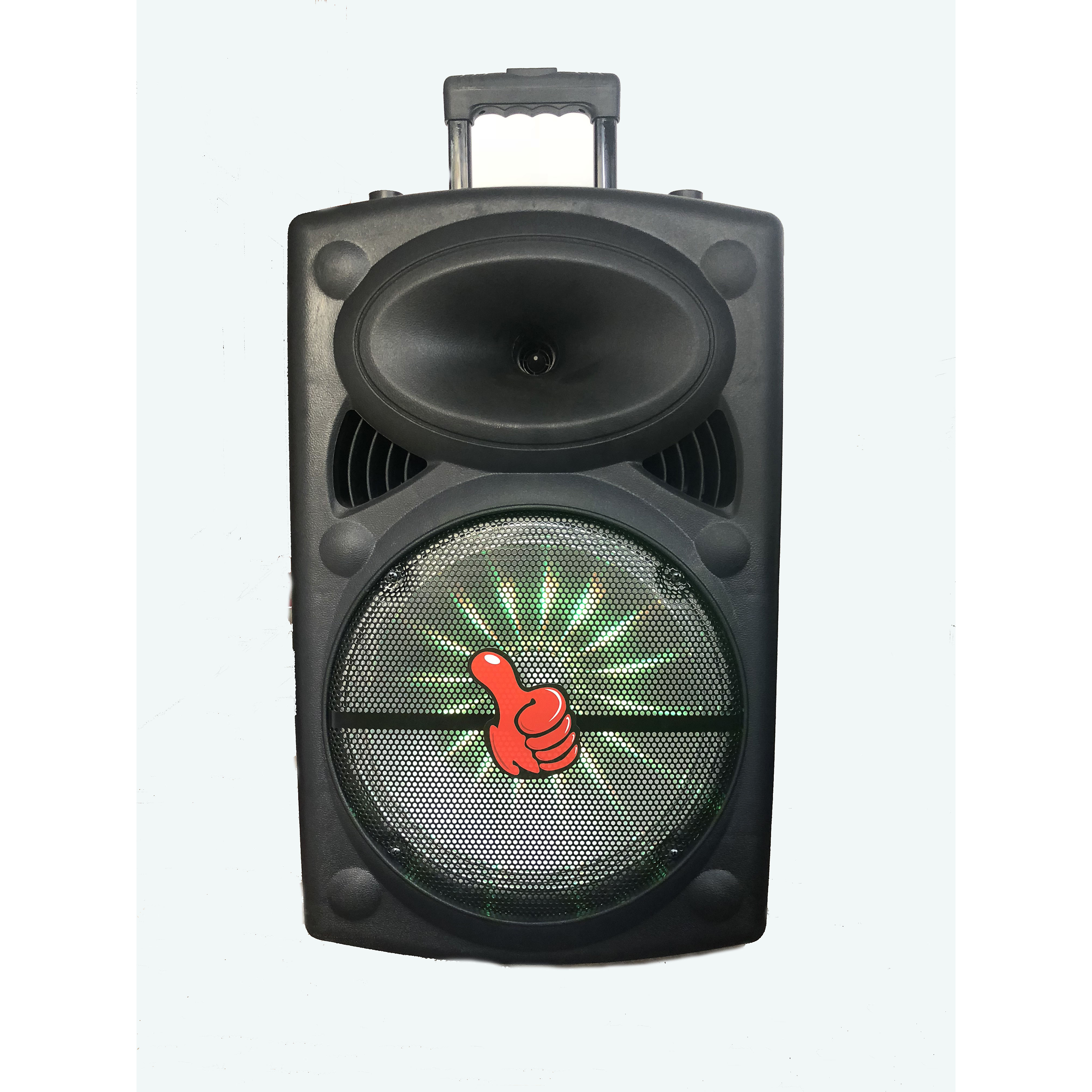 W-12 Karaoke portable 12 inch battery speaker
